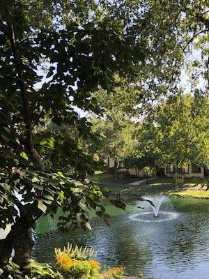 Beautiful Landscaping With Ponds & Fountains